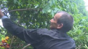 Bajo la sombra del café y la esperanza