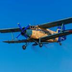 Anselmo y sus inventos de alto vuelo