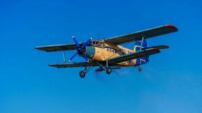 Anselmo y sus inventos de alto vuelo