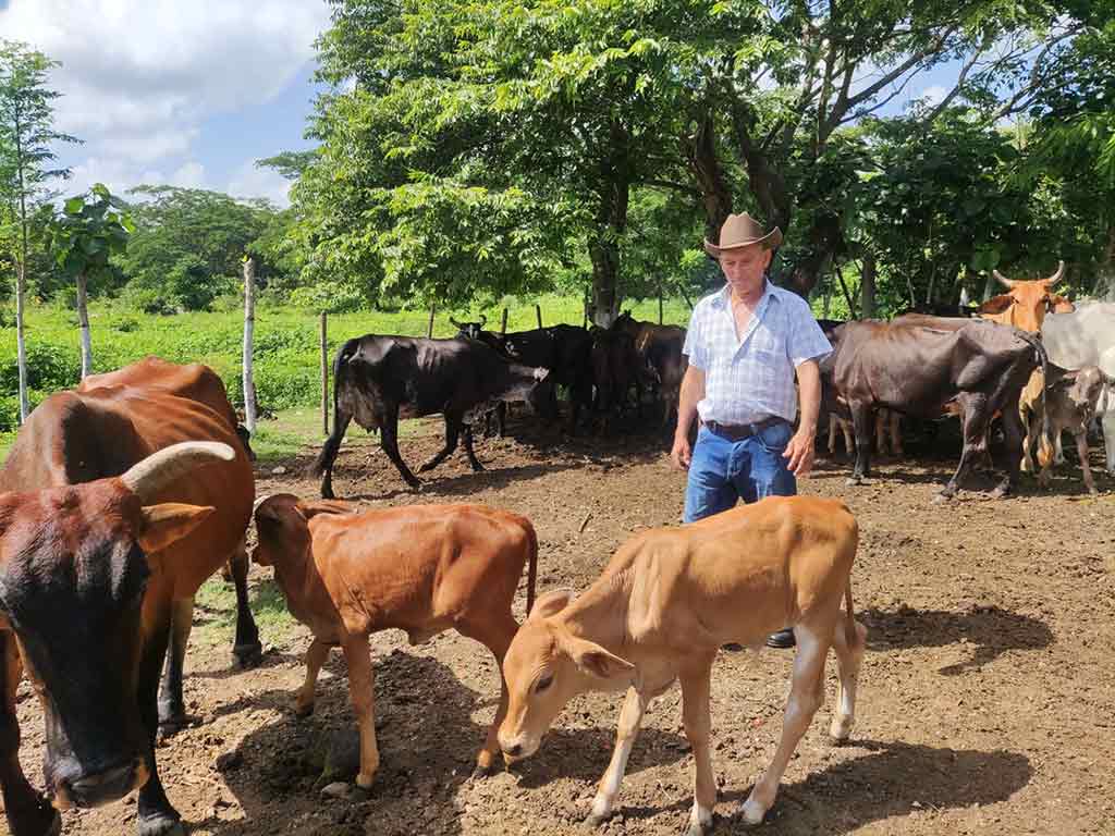 Por un desarrollo ganadero territorial sostenible