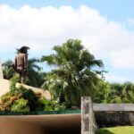 Yaguajay, una batalla decisiva