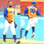 Gallos cantan en su valla