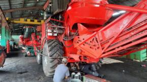 La antesala de la zafra