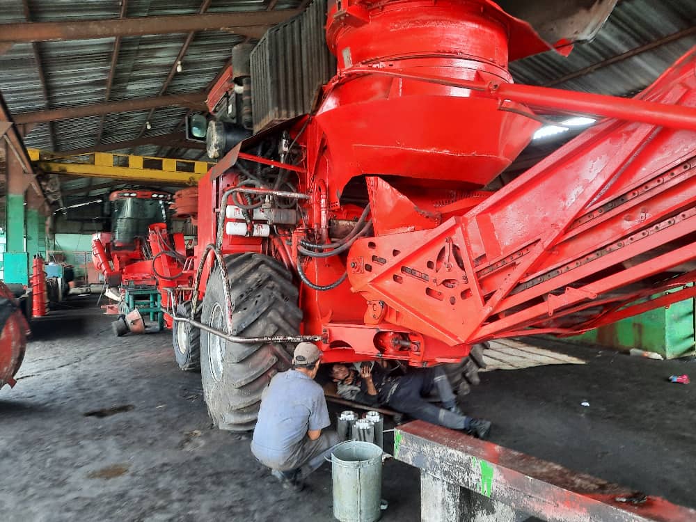 La antesala de la zafra