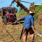 Azucareros de Jatibonico se mantienen en plena faena