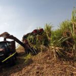 Provincias centrales de Cuba en arrancada de la zafra 2023-2024