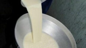 Venta de leche fluida por yogurt beneficia a niños espirituanos de 7 a 13 años