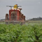 Impulsan producción de medios biológicos en Yaguajay
