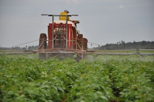Impulsan producción de medios biológicos en Yaguajay