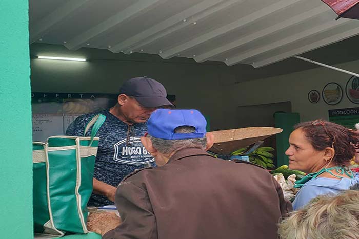 Nuevo mercado agropecuario da respuesta a añejo planteamiento