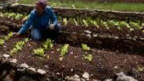 Agroecología en función de una agricultura sana y sostenible