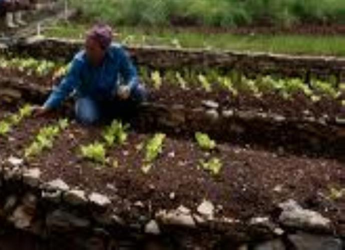 Agroecología en función de una agricultura sana y sostenible