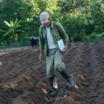 Tintes agropecuarios de la montaña