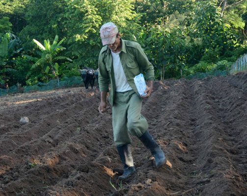 Tintes agropecuarios de la montaña