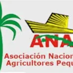 Anapistas espirituanos entre resultados y retos en un año difícil