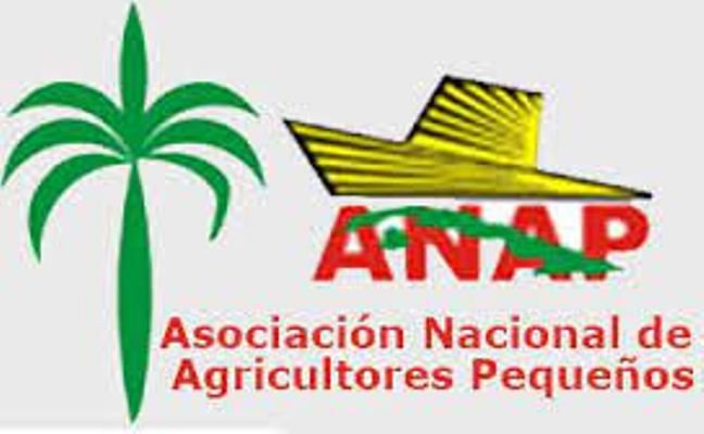 Anapistas espirituanos buscarán respuesta a demandas impostergables