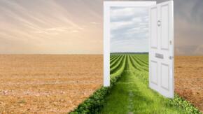 El Cuento: Puertas