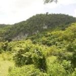 Científicos espirituanos al frente del plan de manejo de área protegida de Buena Vista