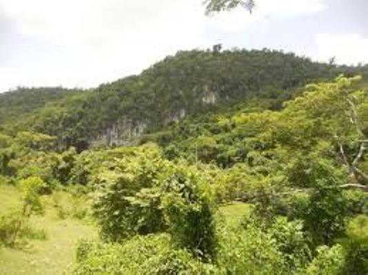 Científicos espirituanos al frente del plan de manejo de área protegida de Buena Vista