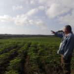 Empresa Agroindustrial Azucarera Melanio Hernández y la producción de alimentos