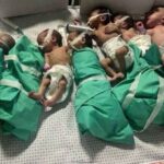 Cuba condena muerte de bebés en Gaza por desnutrición