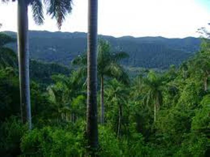 Refuerzan estrategia para un mejor manejo medioambiental en Sancti Spíritus