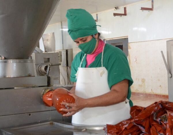 Las inversiones en casa de calderas y redes de distribución de vapor tiene implicación en la producción y calidad de los alimentos. Foto: Oscar Alfonso Sosa.