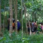 Continúan actividades de los campamentos juveniles de verano