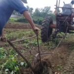Fomento celebra el Día del Campesino con reconocimientos y compromiso productivo