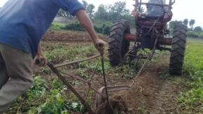 Fomento celebra el Día del Campesino con reconocimientos y compromiso productivo