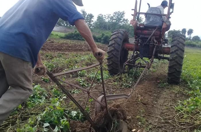 Fomento celebra el Día del Campesino con reconocimientos y compromiso productivo