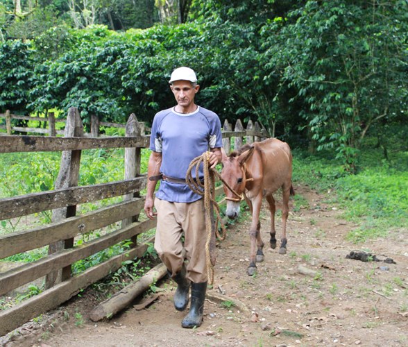 En los escenarios de la montaña, aún en medio de tantas vicisitudes, los hombres moldean la producción y la conservación. Foto: Oscar Alfonso Sosa.