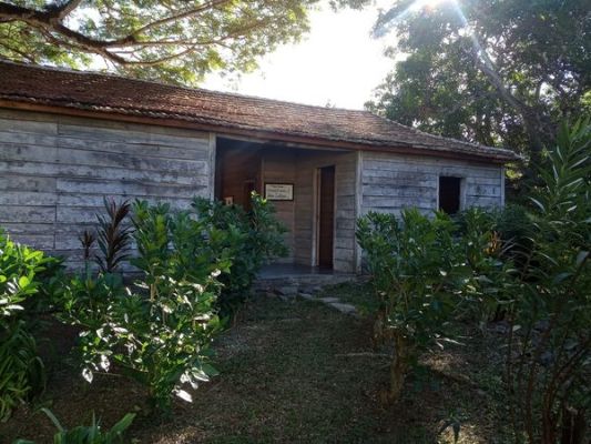 Un episodio de la alfabetización abrazado de palmeras y cafetos