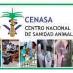 Declaran presencia de influenza aviar en Cuba