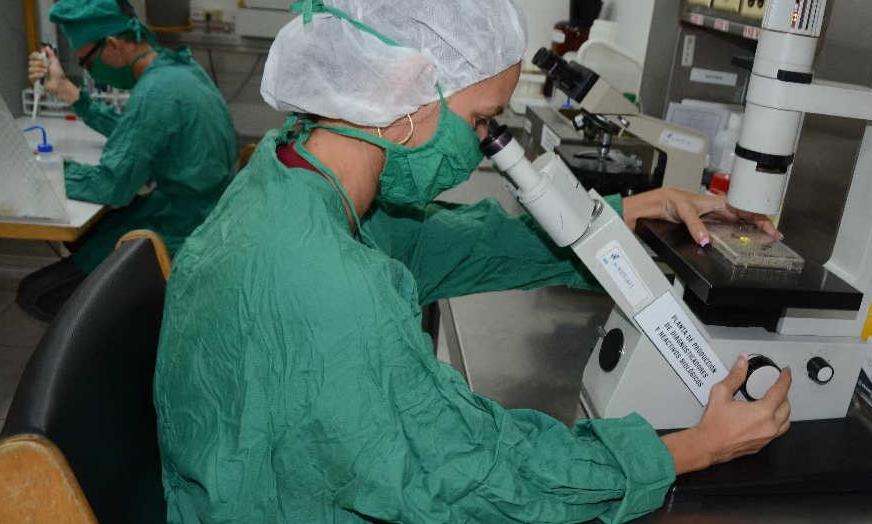 Biotecnología espirituana confirma protagonismo en producción científica