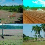 Más de 30 proyectos de cooperación internacional en Sancti Spíritus