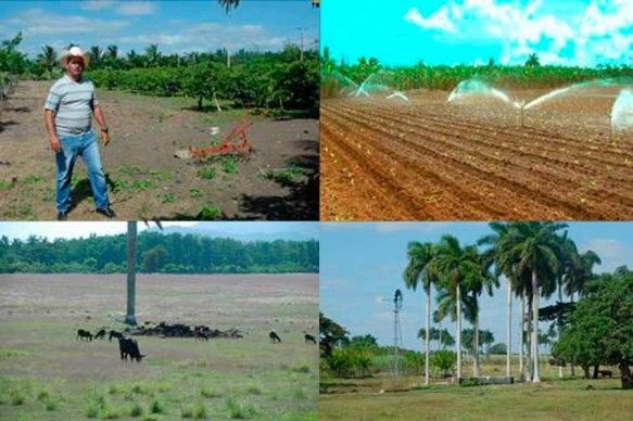 Más de 30 proyectos de cooperación internacional en Sancti Spíritus