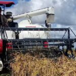 Busca Cuba mayor soberanía alimentaria con más áreas arroceras