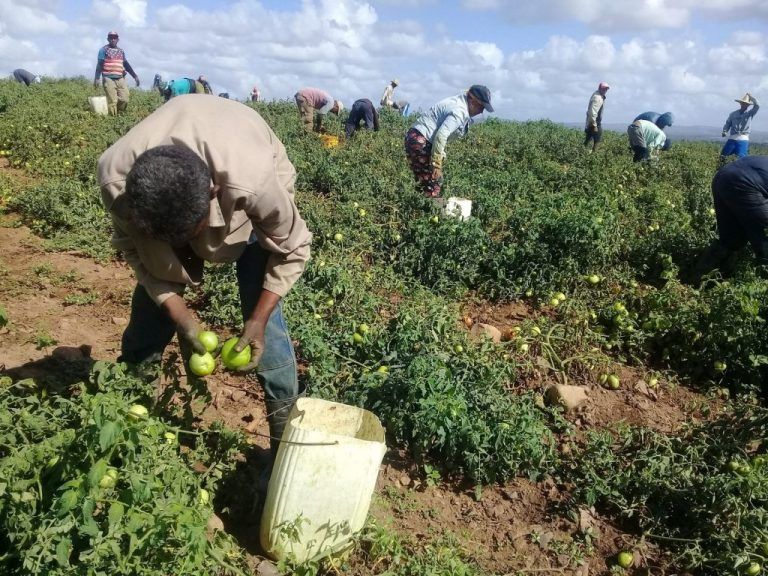 Cobra fuerza movimiento de altos productores espirituanos