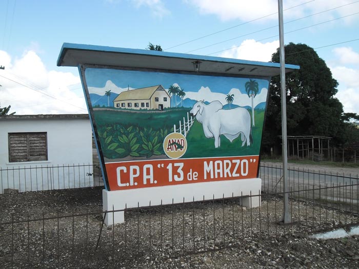 Arrancó campaña invernal de los cultivos varios