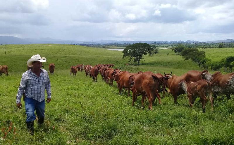 CPA Juan González, baluarte en el trabajo con la genética ganadera