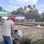 Osvaldo Cancio: el campesino no tiene horario