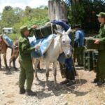 La montaña, escenario en ejercicios prácticos de la defensa