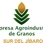 Encadenamiento con actores económicos favorece reanimación arrocera en Sur de El Jíbaro