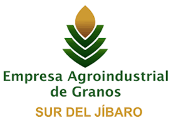Encadenamiento con actores económicos favorece reanimación arrocera en Sur de El Jíbaro