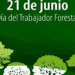 Forestales celebran su día este 21 de junio