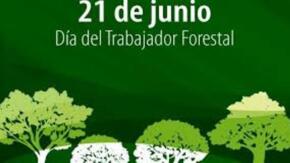 Forestales celebran su día este 21 de junio