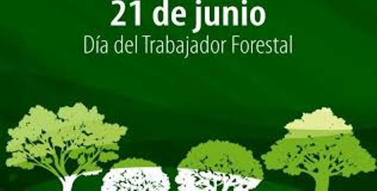 Forestales celebran su día este 21 de junio