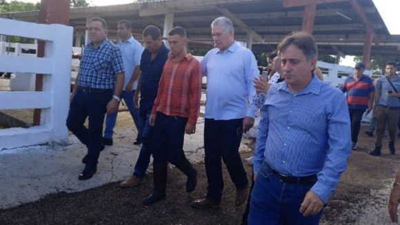 Díaz-Canel constata el desempeño de programas socioeconómicos en Matanzas