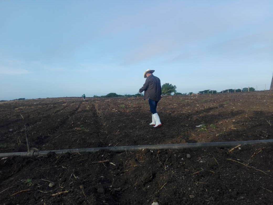 El director de la Empresa Provincial comprobó en varios municipios el riego de semillas.